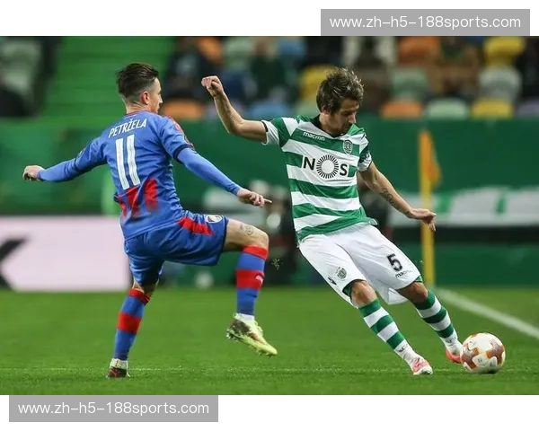 葡超赛事专栏：探寻葡萄牙足球的激情与魅力